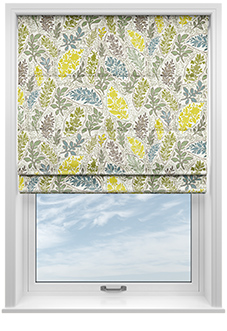 Zagar, Olive - Roman Blind